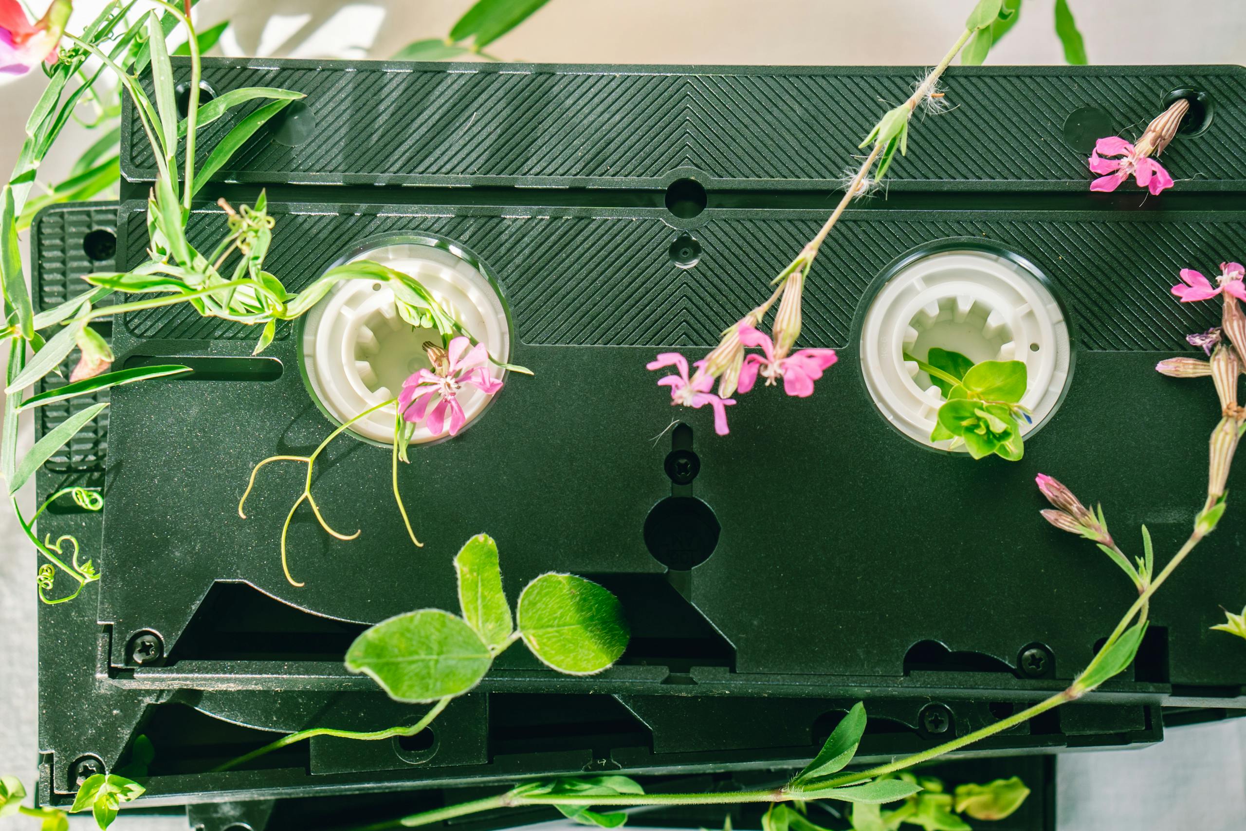 A unique blend of retro technology and nature featuring a cassette tape intertwined with vibrant green plants and flowers.